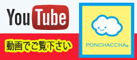 YouTube動画